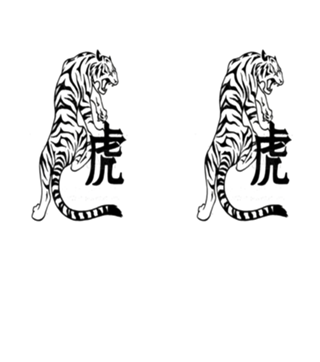 HORÓSCOPO CHINÊS - TIGRE