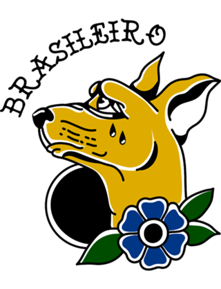 Cachorro brasileiro