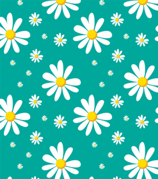 Margarida