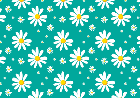 Margarida