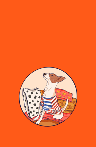 Dog sereno