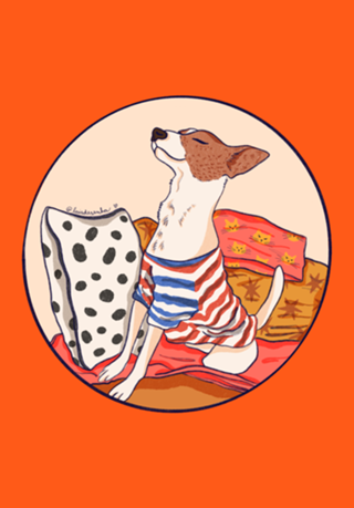 Dog sereno