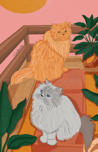 Gatinhos