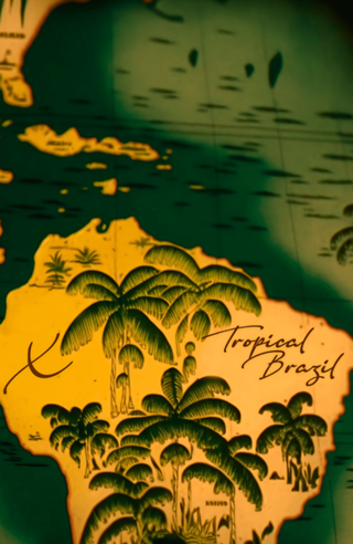 Tropical brazil