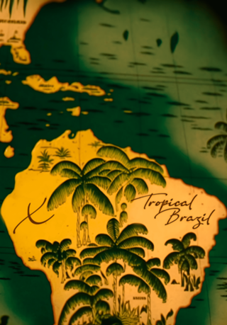 Tropical brazil