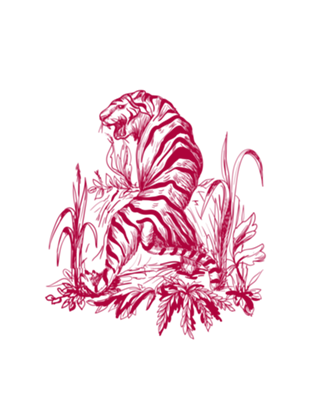 Toile Oriental - Viva Magenta
