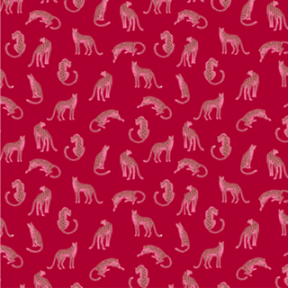 Onça Pink