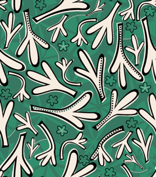 Plantinhas