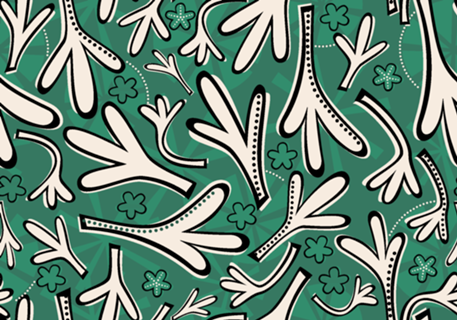 Plantinhas
