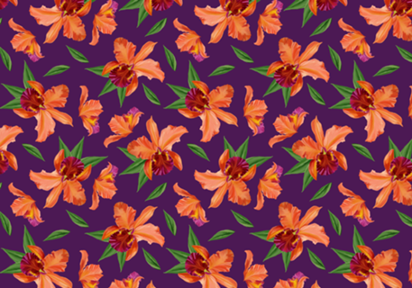 ORQUÍDEAS