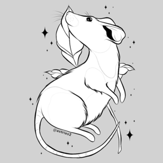 Rato Aesthetic
