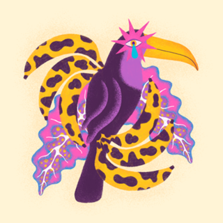 Tucano