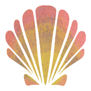 Seashells