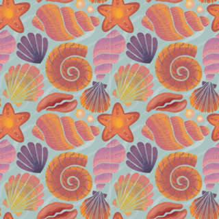 Seashells