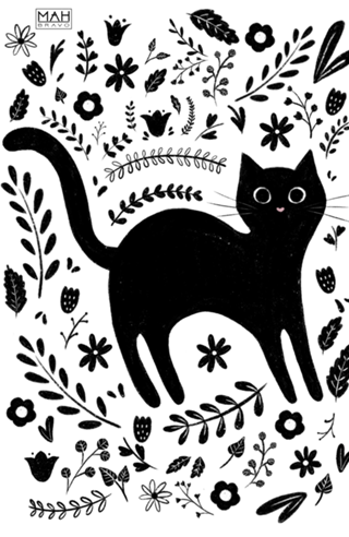 Gato preto