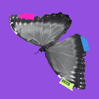 Minha borboleta