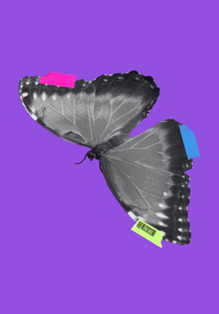 Minha borboleta