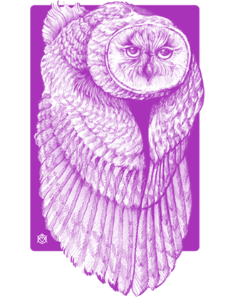 Coruja desenho caneta pentel (violet)