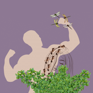 Menosprezo