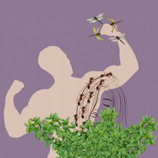 Menosprezo