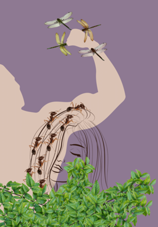 Menosprezo