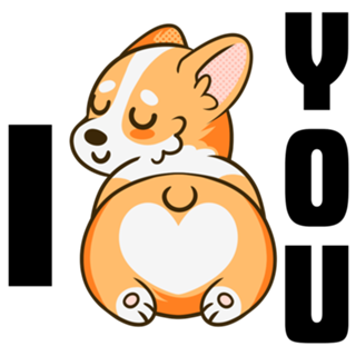 Dog shiba inu, cachorro laranja