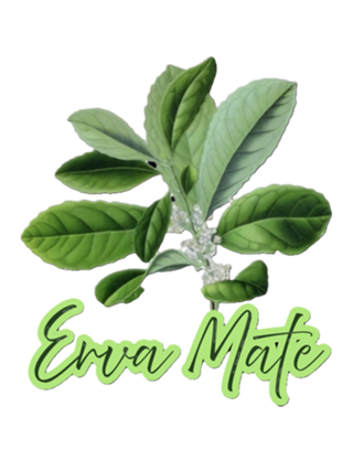 Erva Mate