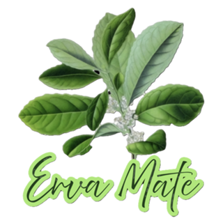 Erva Mate