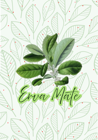 Erva Mate