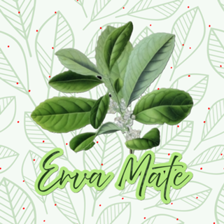 Erva Mate