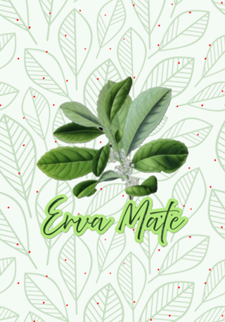 Erva Mate