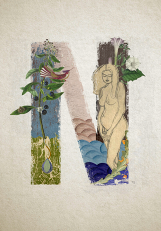 Letra N . Nature