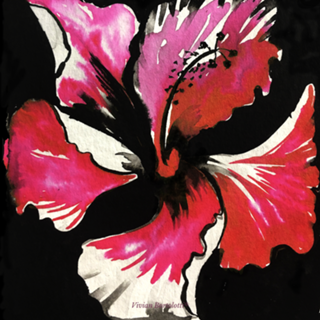 Hibiscus 1