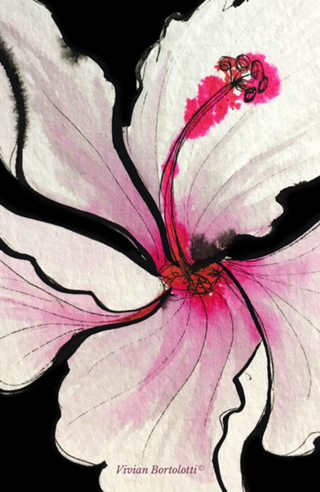 Hibiscus 3