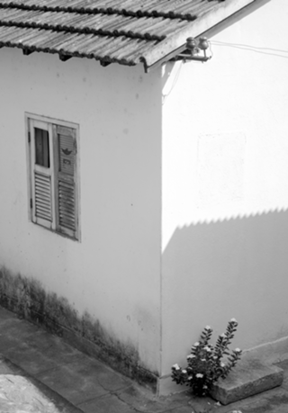 Casa simples