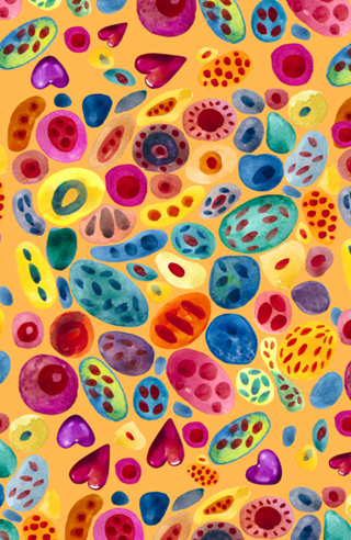 Pedras Coloridas