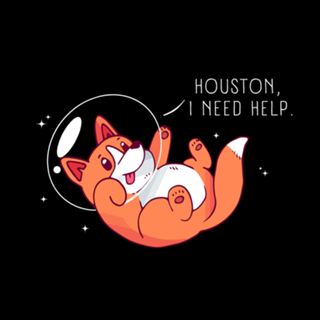 Corgi Lost in Space