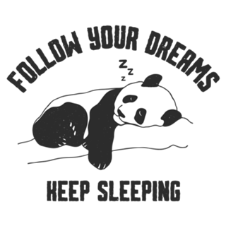 Follow Your Dreams Keep Sleeping