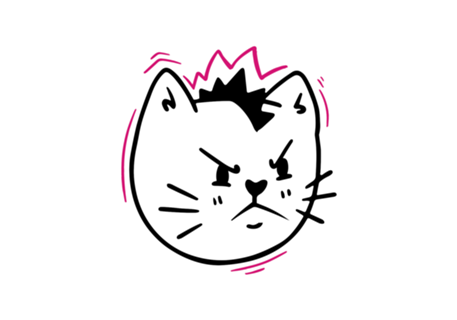 Punk Cat