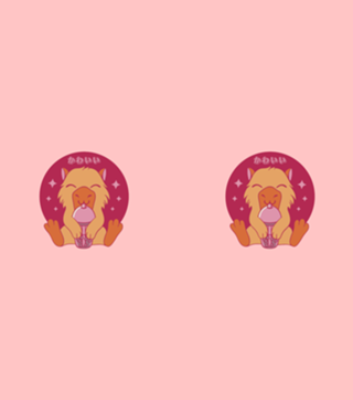 Kawaii Capybara