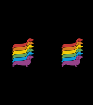 Rainbow Dachshund