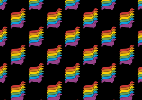 Rainbow Dachshund
