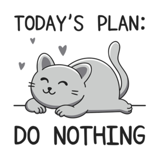 Today's Plan