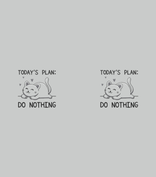 Today's Plan
