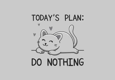 Today's Plan