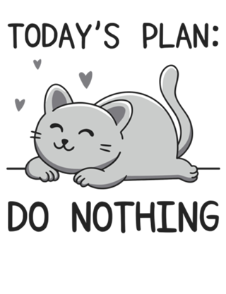 Today's Plan