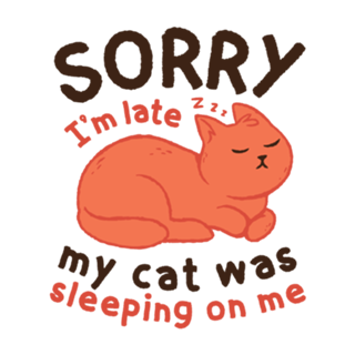 My Cat Was Sleeping On Me