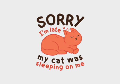 My Cat Was Sleeping On Me