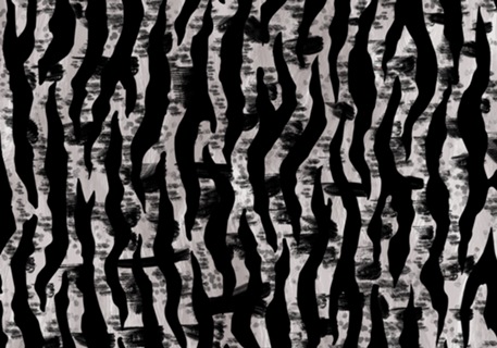 Zebra abstrata