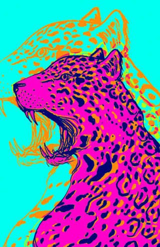 Onça #03